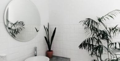 Problemas de HUMEDAD en BAÑOS